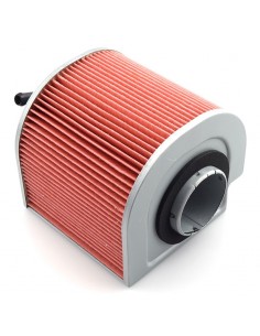 Filtro de Aire Hiflofiltro HFA1212