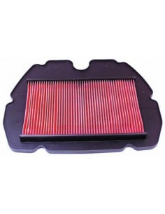 Filtro de Aire Hiflofiltro HFA1605