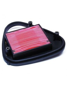 Filtro de Aire Hiflofiltro HFA1607