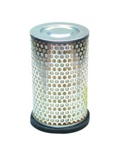 Filtro de Aire Hiflofiltro HFA1613