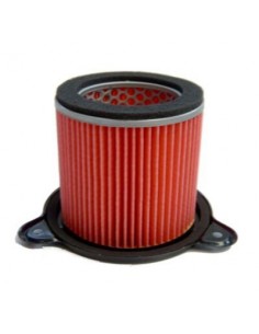 Filtro de Aire Hiflofiltro HFA1705