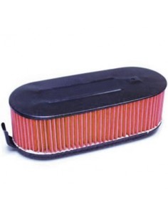 Filtro de Aire Hiflofiltro HFA1706