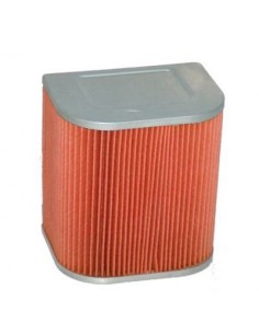 Filtro de Aire Hiflofiltro HFA1711