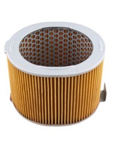 Filtro de Aire Hiflofiltro HFA1902