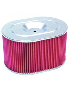 Filtro de Aire Hiflofiltro HFA1905