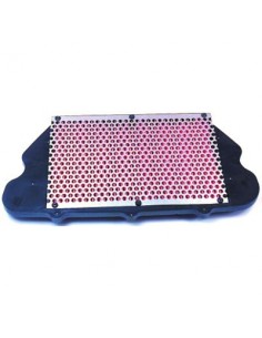 Filtro de Aire Hiflofiltro HFA1910