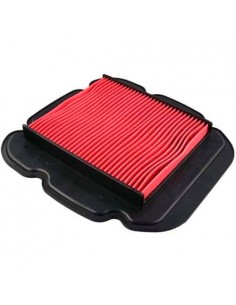 Filtro de Aire Hiflofiltro HFA3618