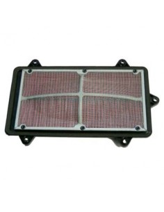 Filtro de Aire Hiflofiltro HFA3903