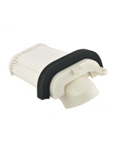 Filtro de Aire Hiflofiltro HFA4505