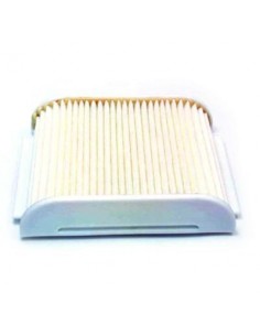 Filtro de Aire Hiflofiltro HFA4904