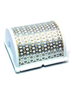 Filtro de Aire Hiflofiltro HFA4909