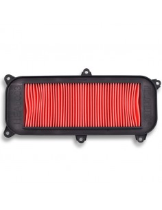 Filtro de Aire Hiflofiltro HFA5003