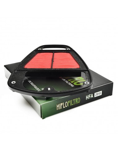 Filtro de aire Hiflofiltro HFA2919