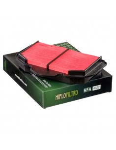 Filtro de aire Hiflofiltro HFA4922