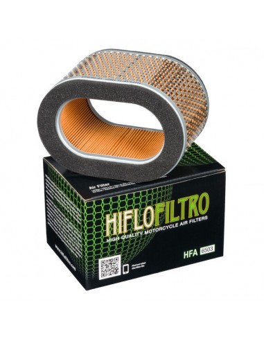 Filtro de aire Hiflofiltro HFA6503