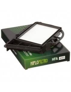 Filtro de aire de cárter Hiflofiltro HFA4203