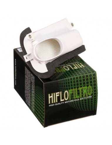 Filtro de aire lado Izquierdo Hiflofiltro HFA4509