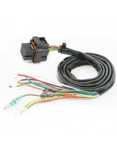 Cableado principal para KOSO DB01R  BO018000