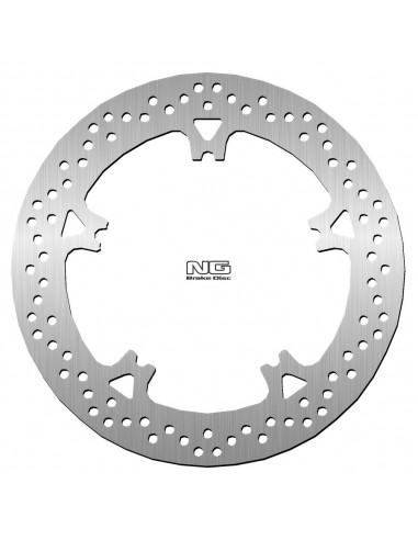 Disco de freno NG flotante 1319 Ø300 x Ø172.5 x 5