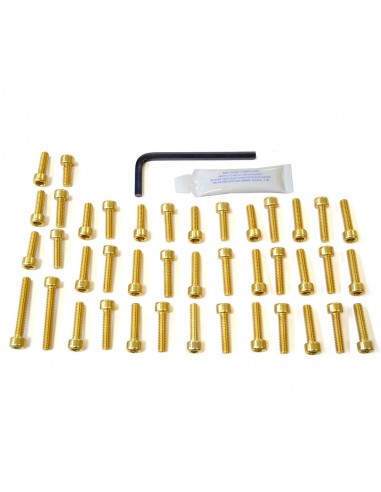 Kit tornillería de motor Pro-Bolt Aluminio oro Triumph street triple 675 07+ ETR088G