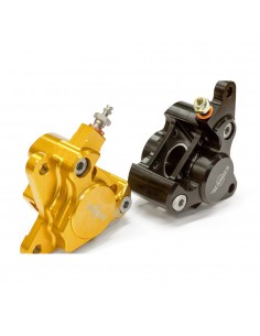 Pinza 2 pistones Beringer Classic Line oro 08