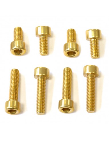 Kit tornilleria tapón depósito Pro-Bolt Suzuki Aluminio oro TSUZG