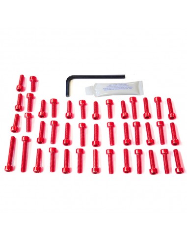 Kit tornillería de motor Pro-Bolt ZX10R (06-07) aluminio rojo EKA286R