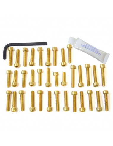 Kit tornillería de motor Pro-Bolt ZX10R (06-07) aluminio oro EKA286G