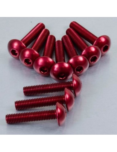 Kit tornillos de carenado Pro-Bolt Aluminio Rojo CBR600 07+ FHO100G