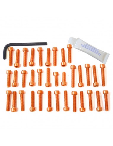 Kit tornillería aluminio motor Pro-Bolt EBE100O Naranja