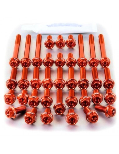 Kit tornillería aluminio Race Spec motor Pro-Bolt EBM700HXRO Naranja