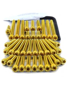 Kit tornillería aluminio tapa embrague Pro-Bolt ESU166VCG Oro