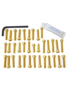 Kit tornillería aluminio motor Pro-Bolt ETR114G Oro