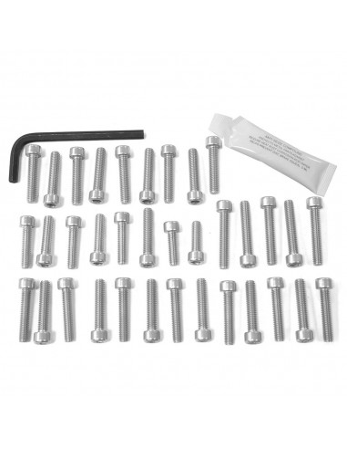 Kit tornillería aluminio motor Pro-Bolt EKA235S Plata