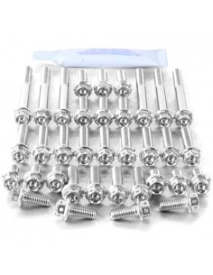 Kit tornillería aluminio Race Spec motor Pro-Bolt EKA285HXRS Plata