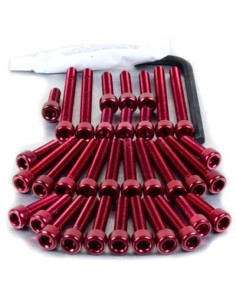 Kit tornillería aluminio tapa embrague Pro-Bolt ESU166VCR Rojo