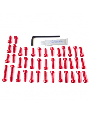 Kit tornillería aluminio motor Pro-Bolt EYA283R Rojo