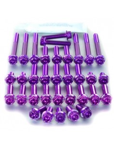 Kit tornillería aluminio Race Spec motor Pro-Bolt EOHO85HXRP Violeta