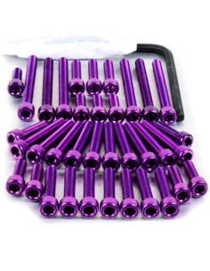 Kit tornillería aluminio tapa embrague Pro-Bolt ESU166VCP Violeta