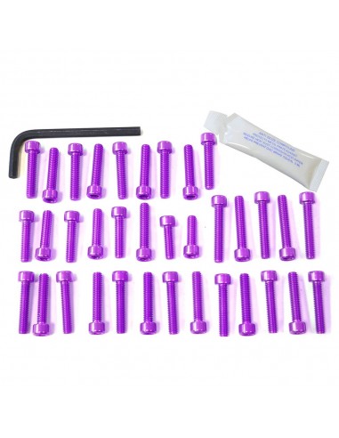 Kit tornillería aluminio motor Pro-Bolt EYA425P Violeta