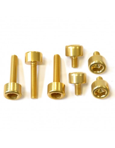 Kit tornillería tapón depósito Pro-Bolt aluminio THO089G Oro