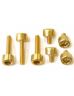 Kit tornillería tapón depósito Pro-Bolt aluminio TSU145G Oro