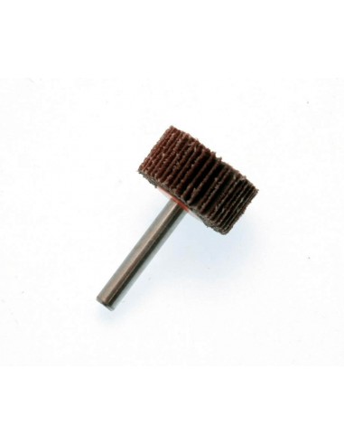 Rueda de láminas PTS OUTILLAGE grano 60 Ø30 x 15mm