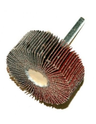 Rueda de láminas PTS OUTILLAGE grano 60 Ø50 x 20mm