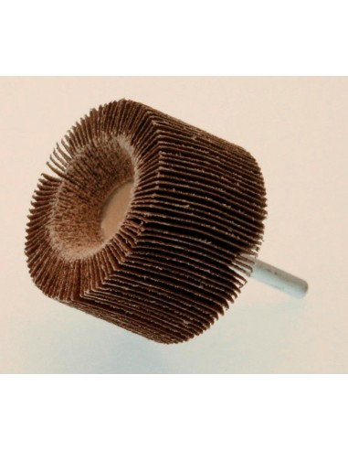 Rueda de láminas PTS OUTILLAGE grano 60 Ø60 x 40mm
