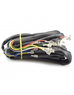 Cableado instalación eléctrica Vespa 162064/182312