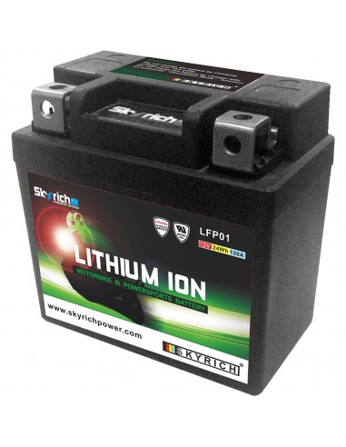 Bateria de litio Skyrich LFP01 (Impermeable + indicador de carga)