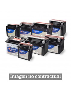 Pack Baterías TECNIUM Gold